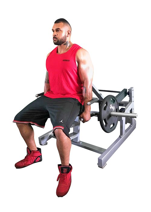 Muscle D Seated Standing Shrug-New.Call  Now For Lowest Price