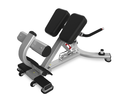 Nautilus Adjustable Back Extension-New