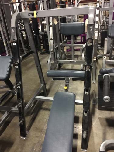 CYBEX FREEWEIGHT PACKAGE