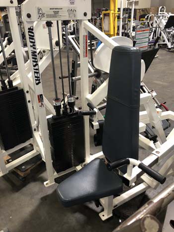 Body Masters Triceps Dip