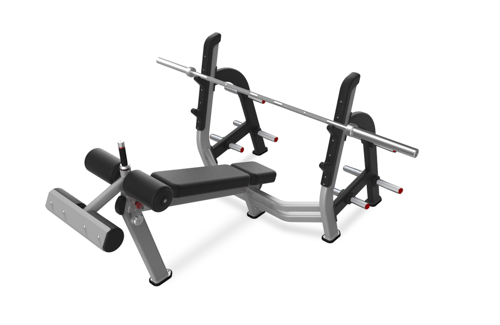 Nautilus Decline Bench Press