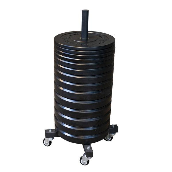 Body-Solid Mobile Vertical Weight Tree GWT86-NEW IN BOX . Call For Lowest Price In the USA