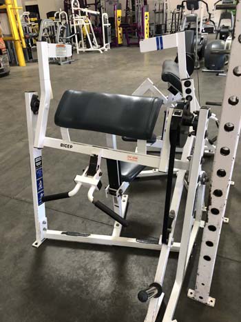 Hammer Strength Seated Biceps