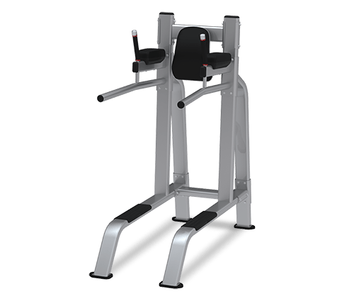 LEG RAISE/DIP Model 9NP-B7517