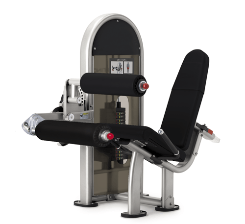 INSTINCT® LEG CURL Model 9NL-S1011