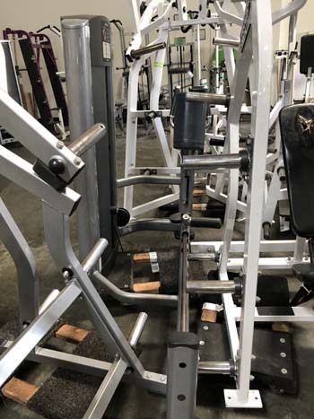 Life Fitness Signature Glute