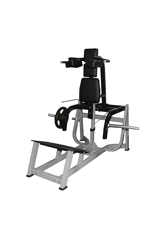 Muscle D V Squat