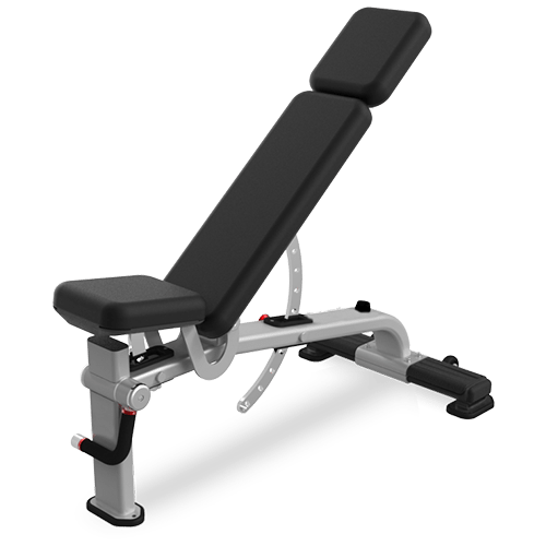 Nautilus Multi-Adjustable Bench