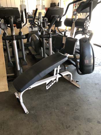 Nautilus Adjustable Abdominal Bench