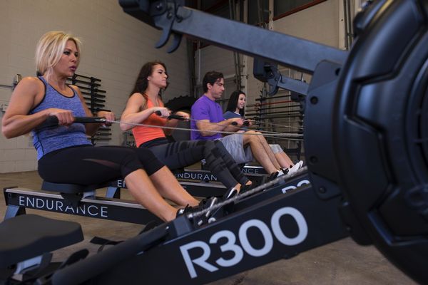 ENDURANCE ROWER R300-NEW IN BOX . Call For Lowest Price In the USA