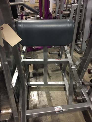 FLEX FREEWEIGHT PACKAGE