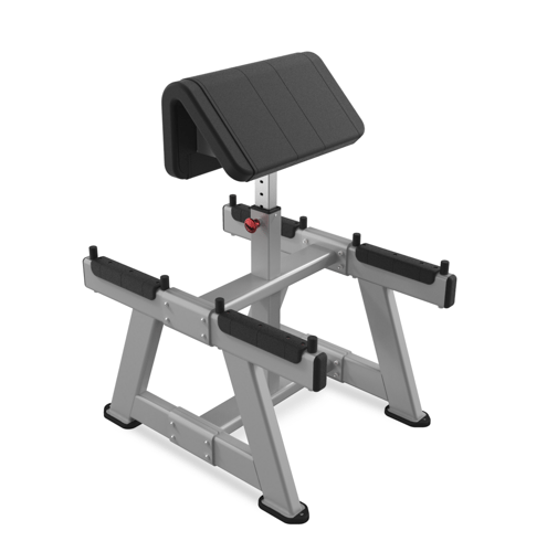 Nautilus Standing Preacher Curl
