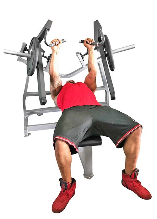 Muscle D Horizontal Bench Press