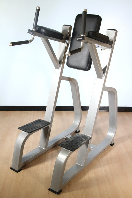 Vertical Knee Raise